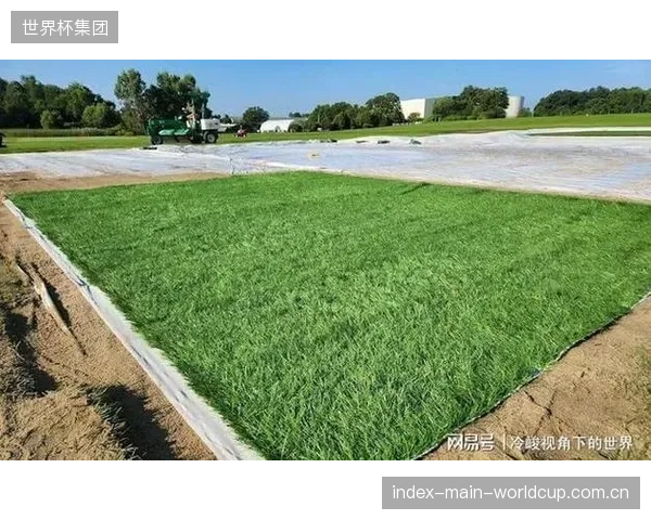 超过8成的顶级联赛场馆要求草坪根系数据传输延迟低于50毫秒，以匹配实时决策调整需求